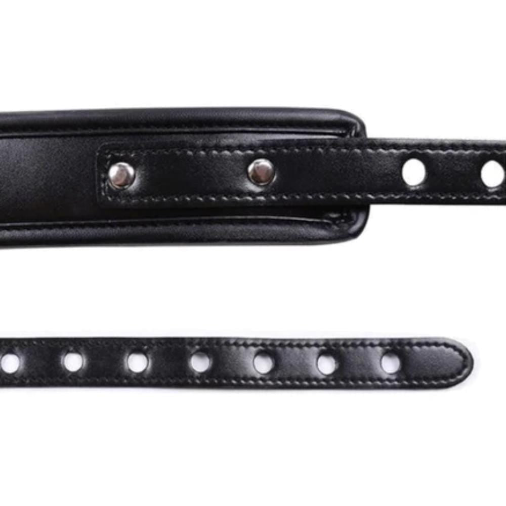 Black Leather Chastity Belt