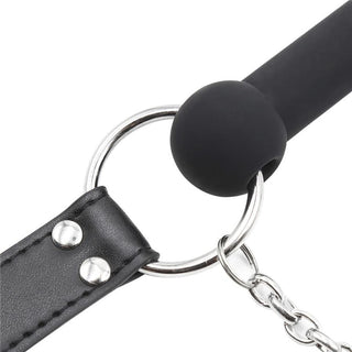 Check out an image of Pet Training Gag - gear designed for dominance, submission, and pleasure.