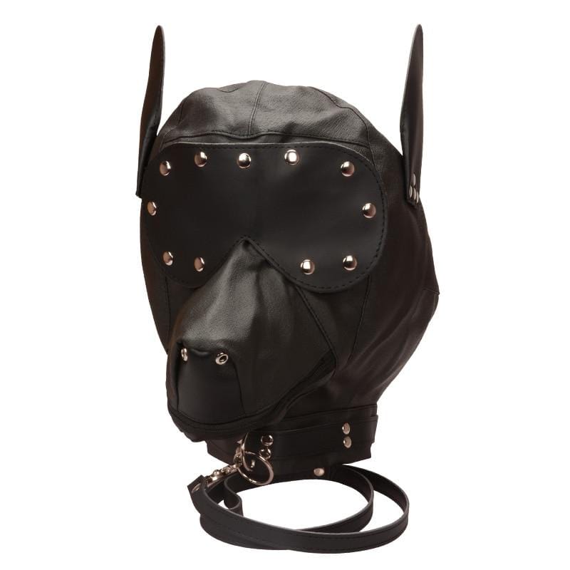 Studded Leather Dog Gimp Mask