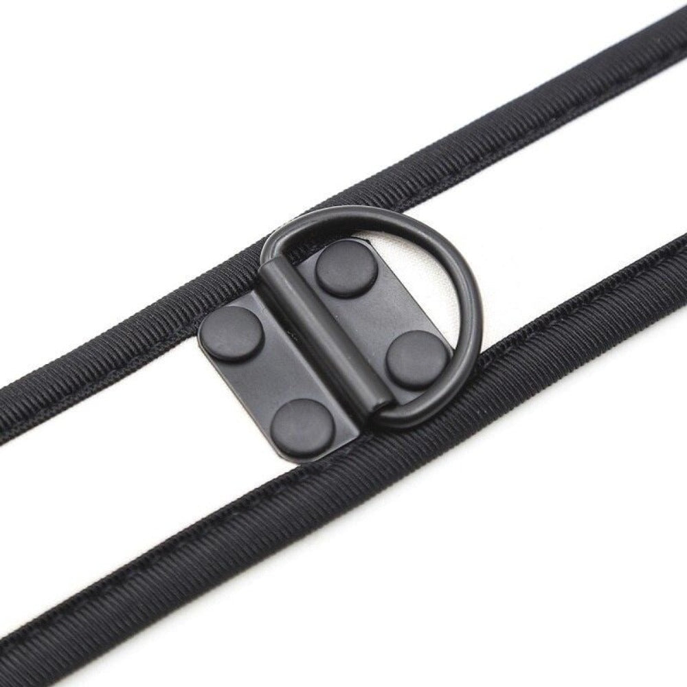In the photograph, you can see an image of Adjustable Nylon D Ring Collar Choker with soft padding for luxurious feel