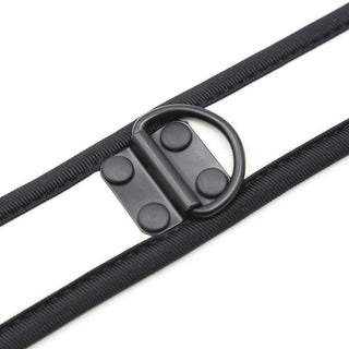 Adjustable Nylon D Ring Collar Choker