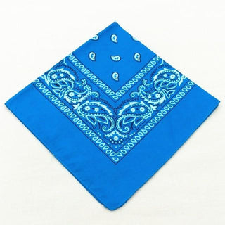 Take a look at an image of Printed Cotton Bandana Cloth Gag in Sky Blue color
