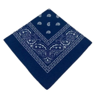 Featuring an image of Printed Cotton Bandana Cloth Gag in Blue color