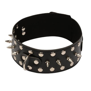 Presenting an image of Spiked Rivets Leather Collar featuring bold spikes and silver studs for a thrilling experience.