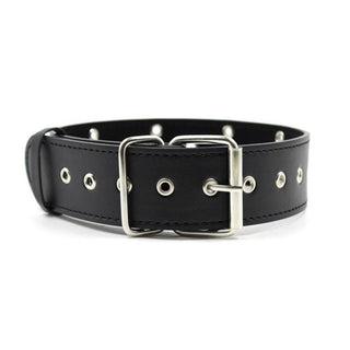 A close-up image of the black collar with adjustable buckle and buttonholes for a comfortable fit.