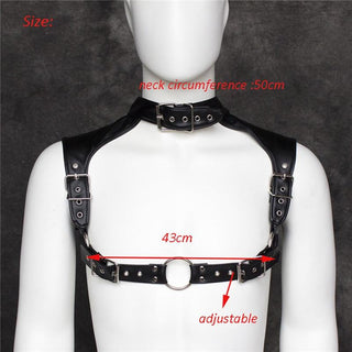 An image showcasing the collar circumference of 19.68 inches and chest width of 16.93 inches of the Adjustable Clubwear Harness Collar.