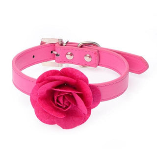 In the photograph, you can see an image of Flower Power Submissive Daytime Collar with Adjustable Design