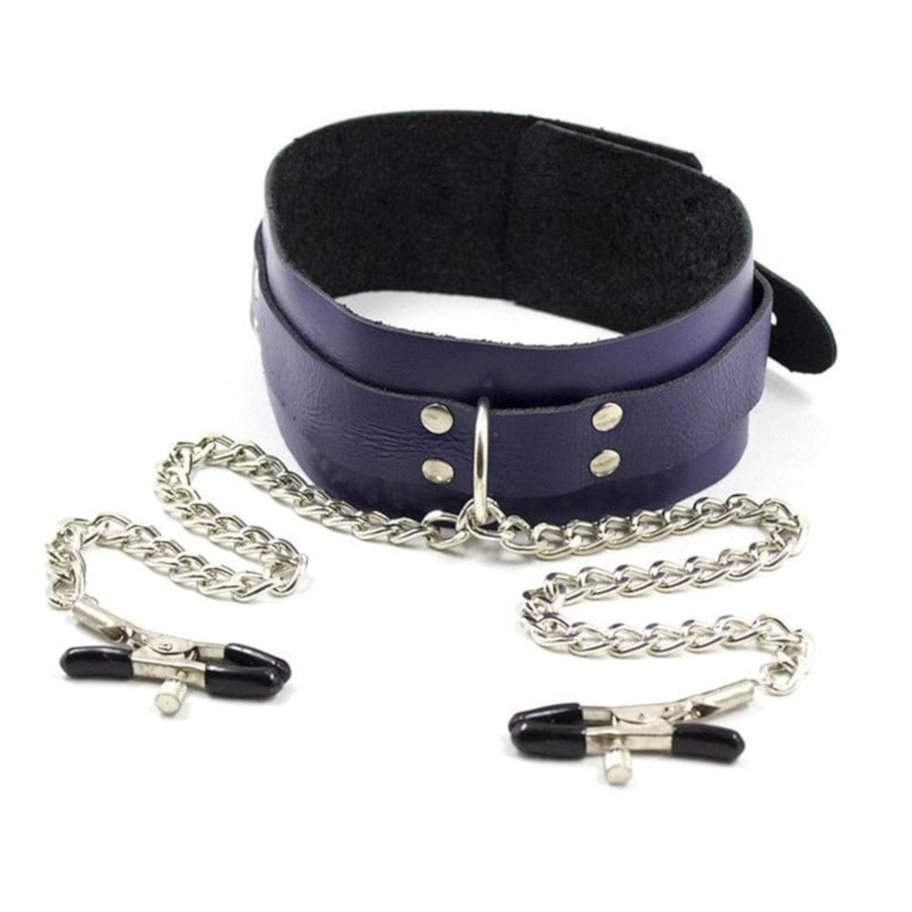 Leather Collar and Clamps
