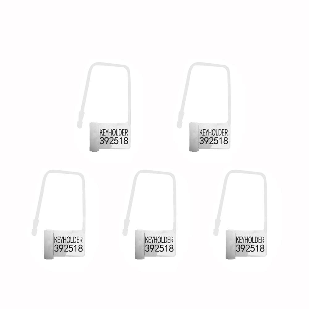 Disposable Numbered Chastity Locks 5 Piece Set